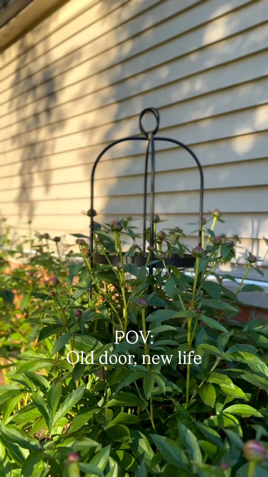 POV: your front door needed a refresh... A little paint, new hardware, and removing the screen door gave our porch a whole new look! I’d love to replace our front door but until then this makes it feel refreshed and new. 🖤