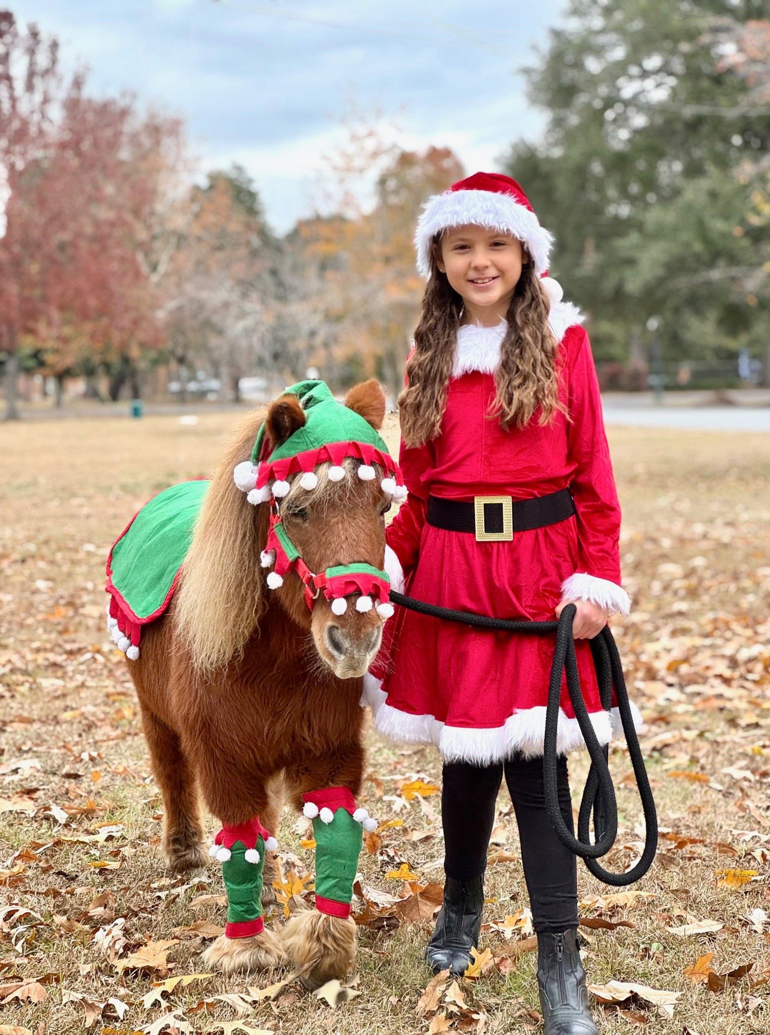 Mini Horse Elf Costume 🎅🏻🎄

Perfect for Christmas Parades or Holiday Photos ❤️

#LTKHoliday #LTKSeasonal
