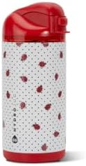 HydroJug Ease2o 14oz Kids Water Bottle with Straw & Chug Lid – Ladybug | Amazon (US)