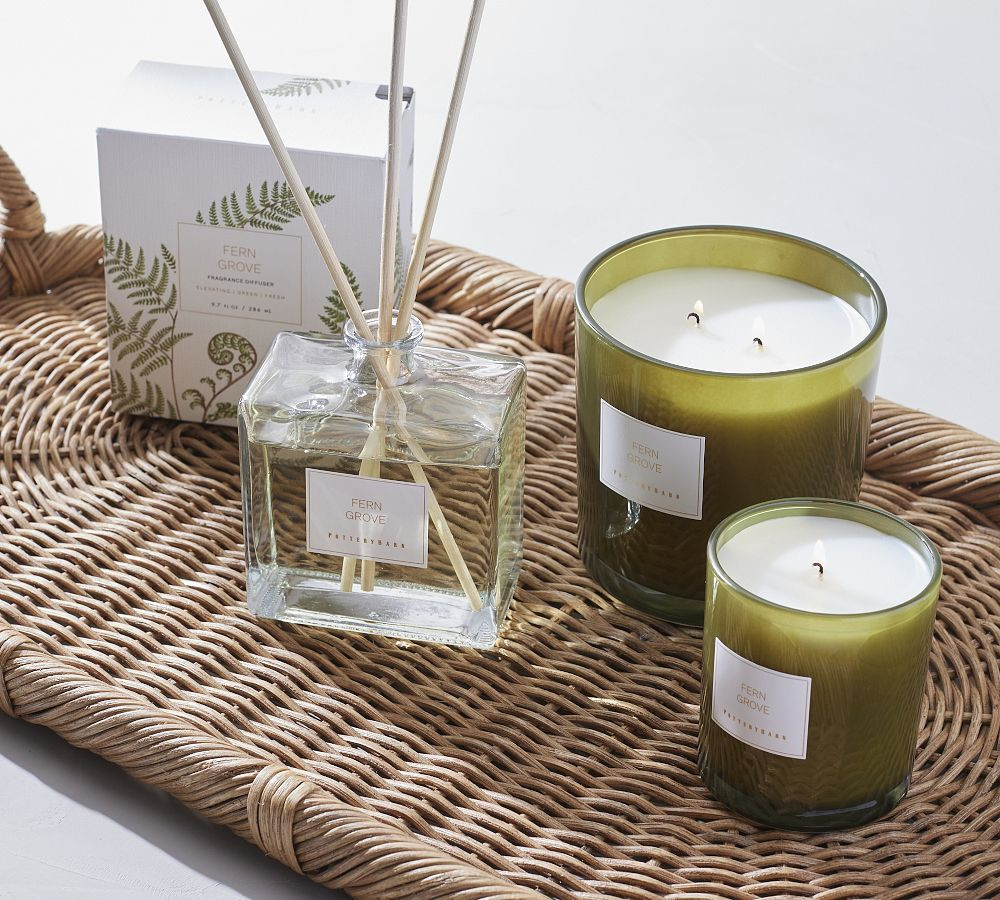 Fern Grove Scent Collection | Pottery Barn (US)