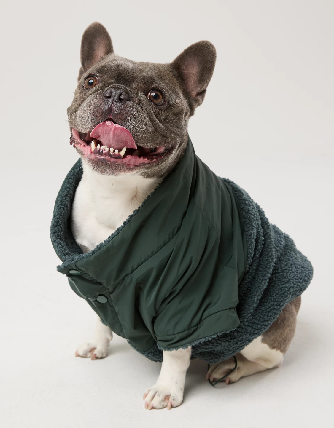 OFFLEASH By Aerie Fluff Love Sherpa Dog Quarter Snap | Aerie