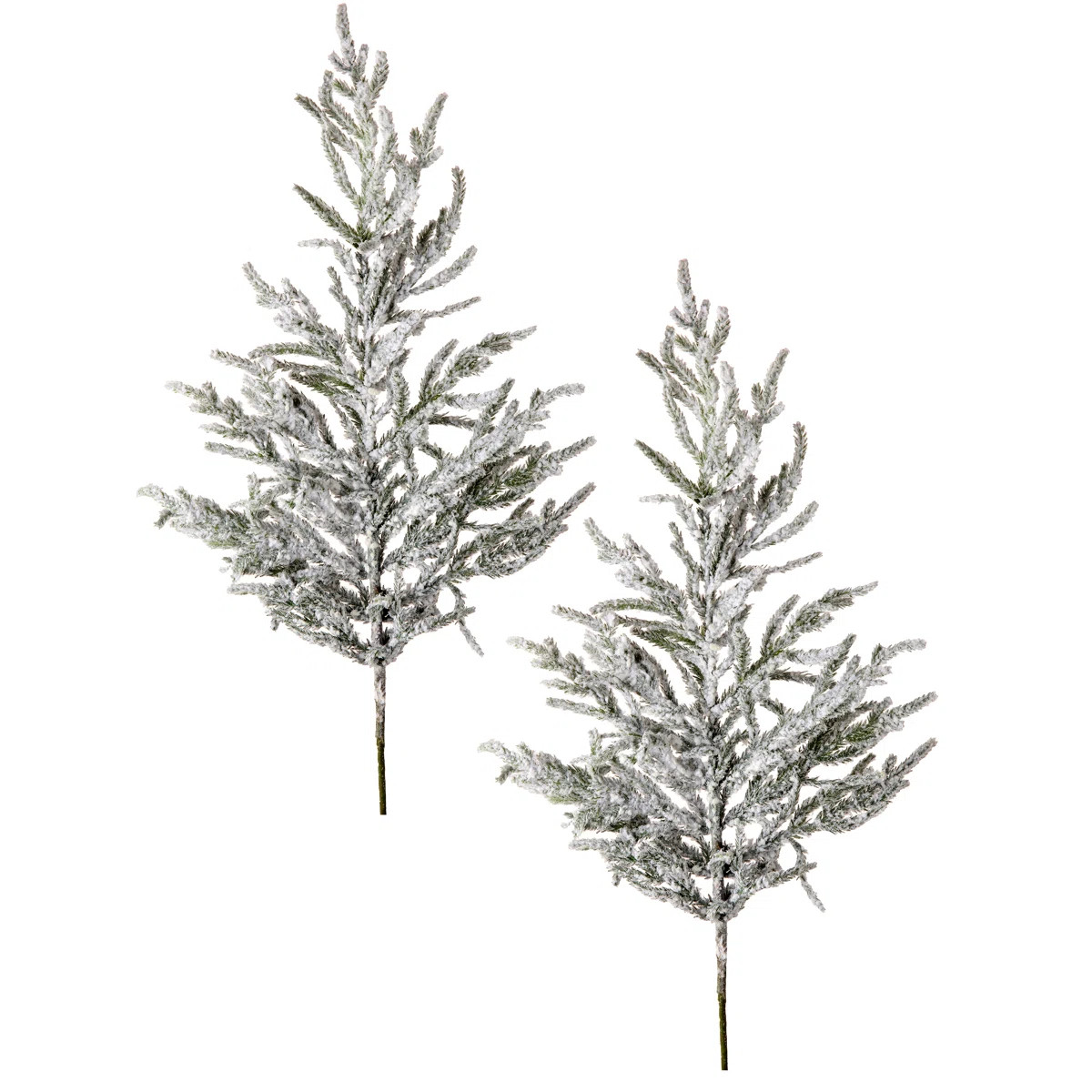 Snowy Natural Touch Norfolk Pine Branch (Set of 2) | Wayfair North America