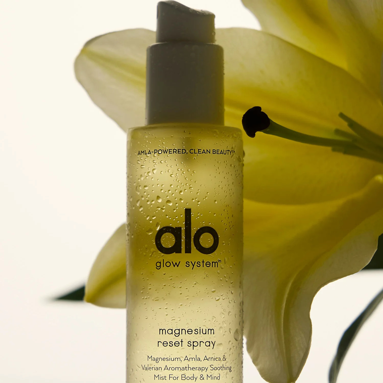 Magnesium Reset Spray | Alo Yoga (US)