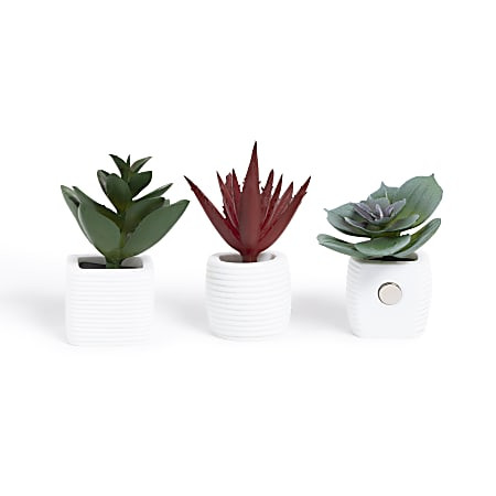 U Brands Succulent Locker Magnets 2 38 x 1 58  Multicolor Set Of 3 Magnets - Office Depot | Office Depot and OfficeMax 