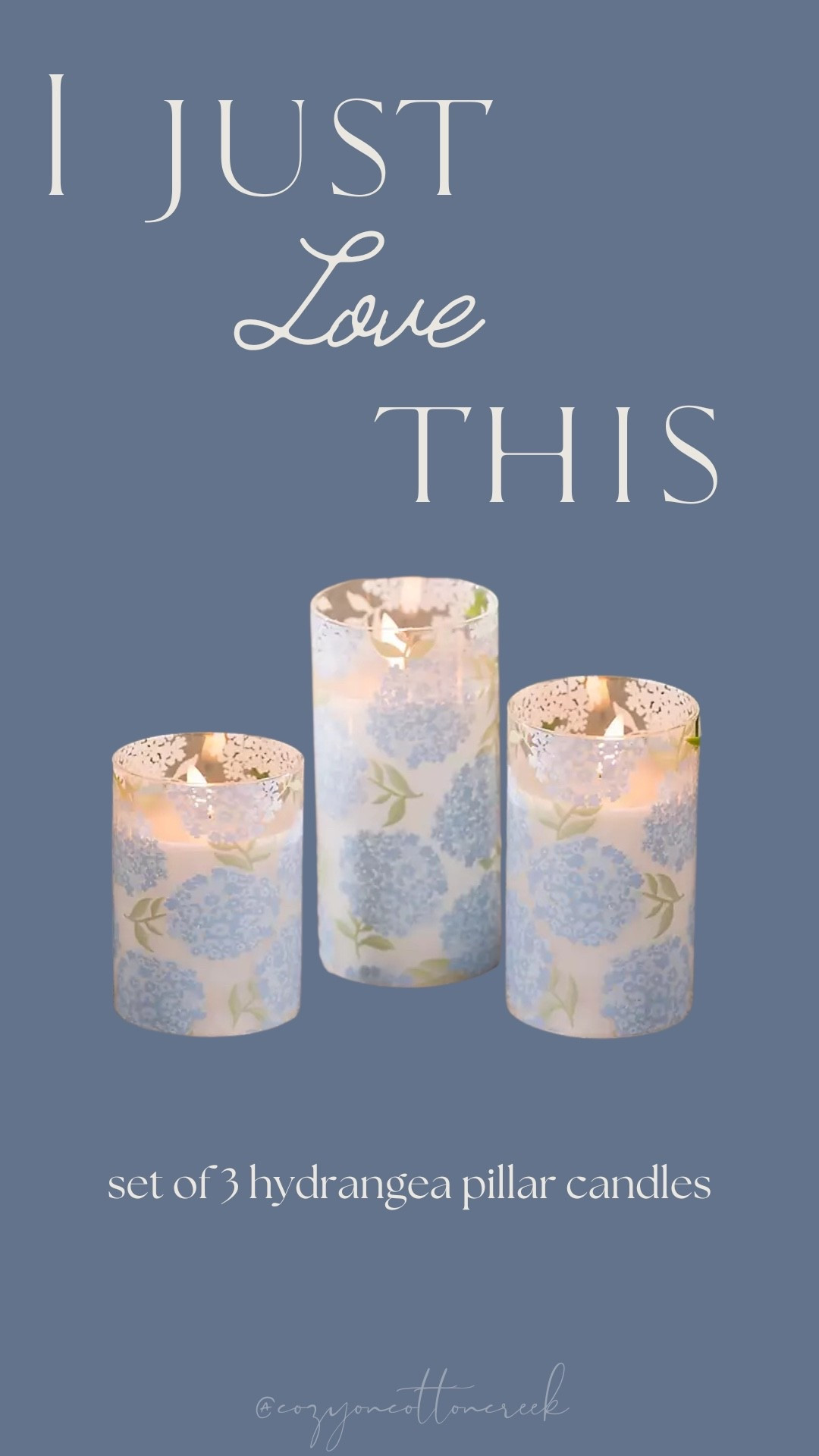 Hydrangea Pillar candles

#LTKHome