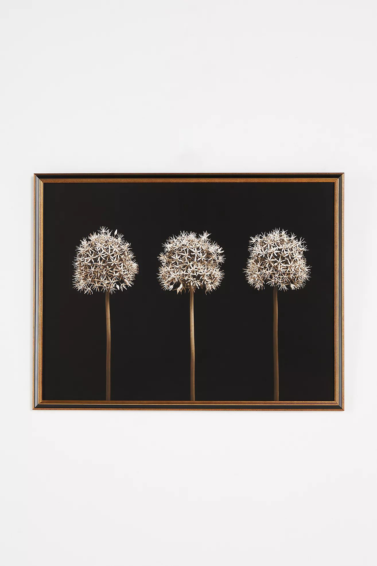 Three Alliums Wall Art | Anthropologie (US)