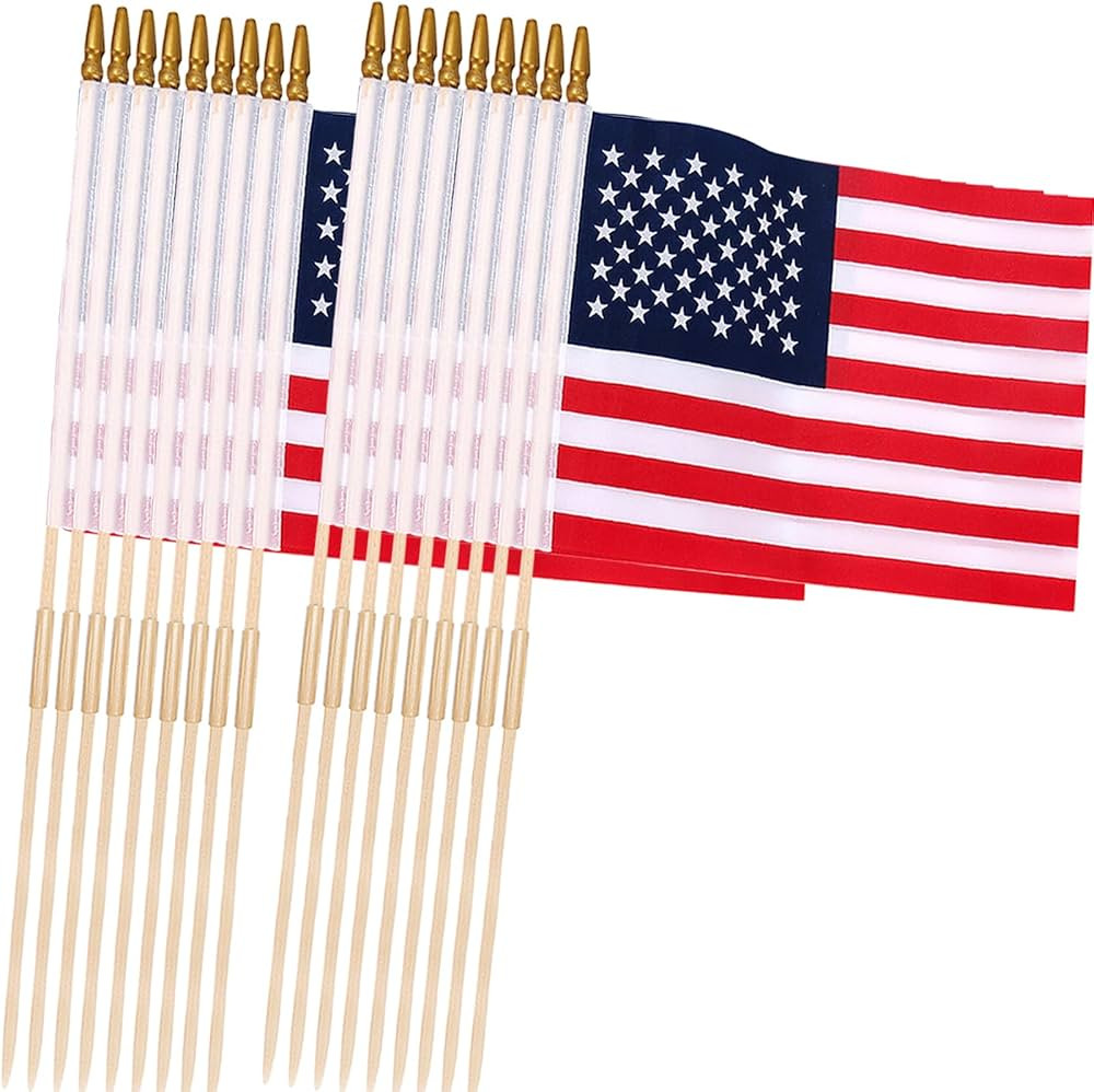 24 Pcs 12x18 Inch American Flags on Stick, American Flags, USA Stick Flag with Handheld and Groun... | Amazon (US)