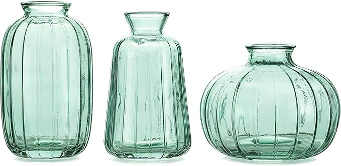 Bud Vase Set of 3 Small Vase Mini Glass Vase for Desktop Centerpieces Decor,Handmade Vase for Flo... | Amazon (US)