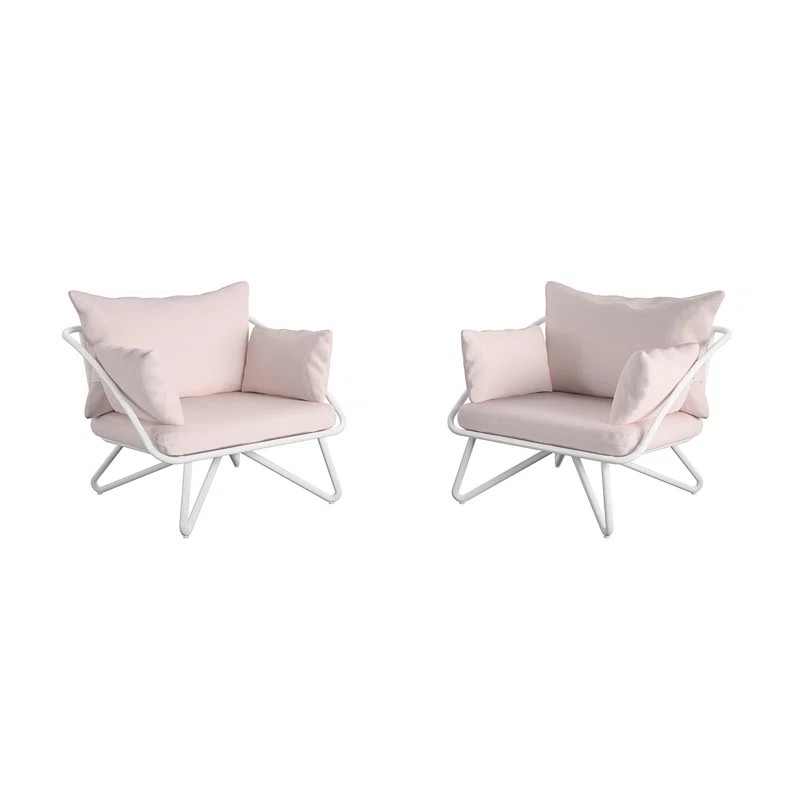 Teddi Patio Chair with Cushions (Set of 2) | Wayfair North America