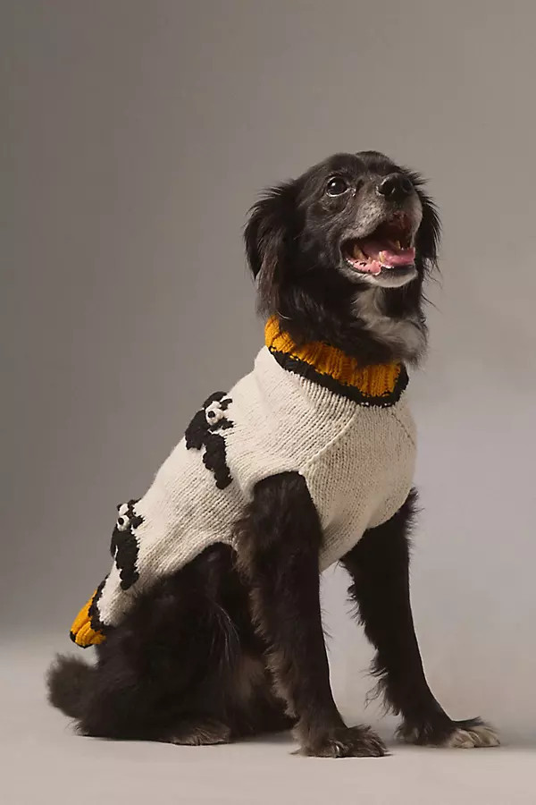 Wool Halloween Pet Sweater | Anthropologie (US)