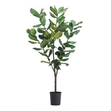 Faux Fiddle Leaf Fig Tree 77 Inch | World Market