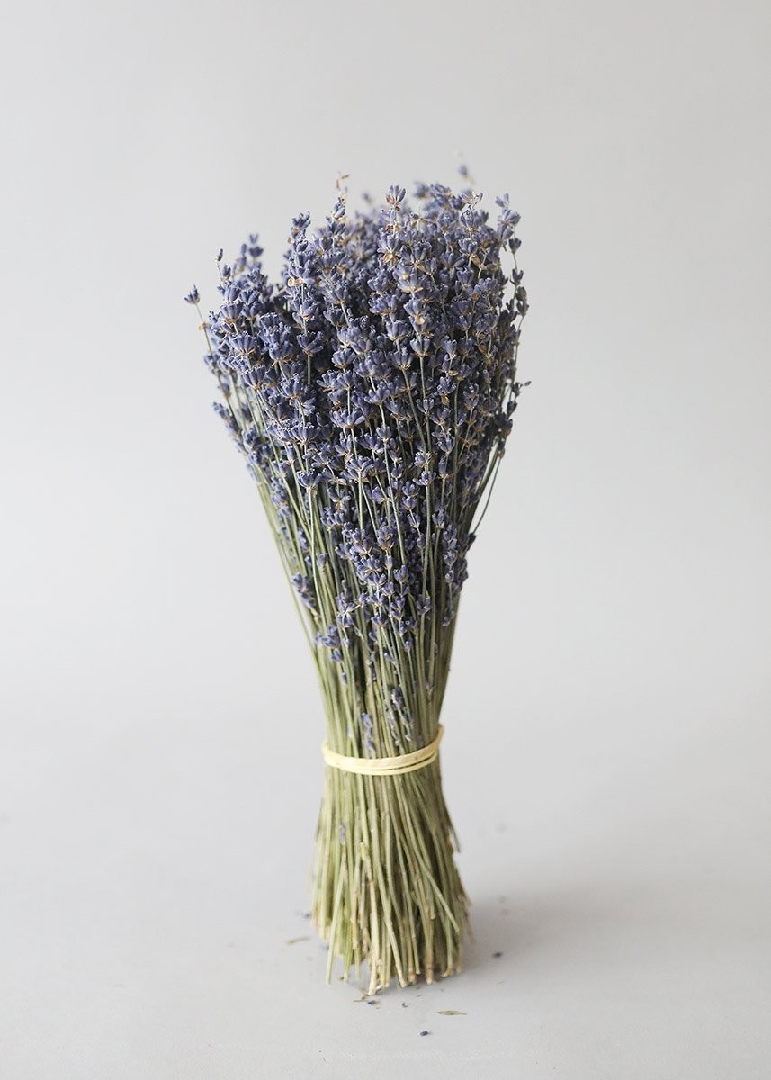 Dried Lavender Bundle in Purple Blue - 14-16" Tall | Afloral (US)