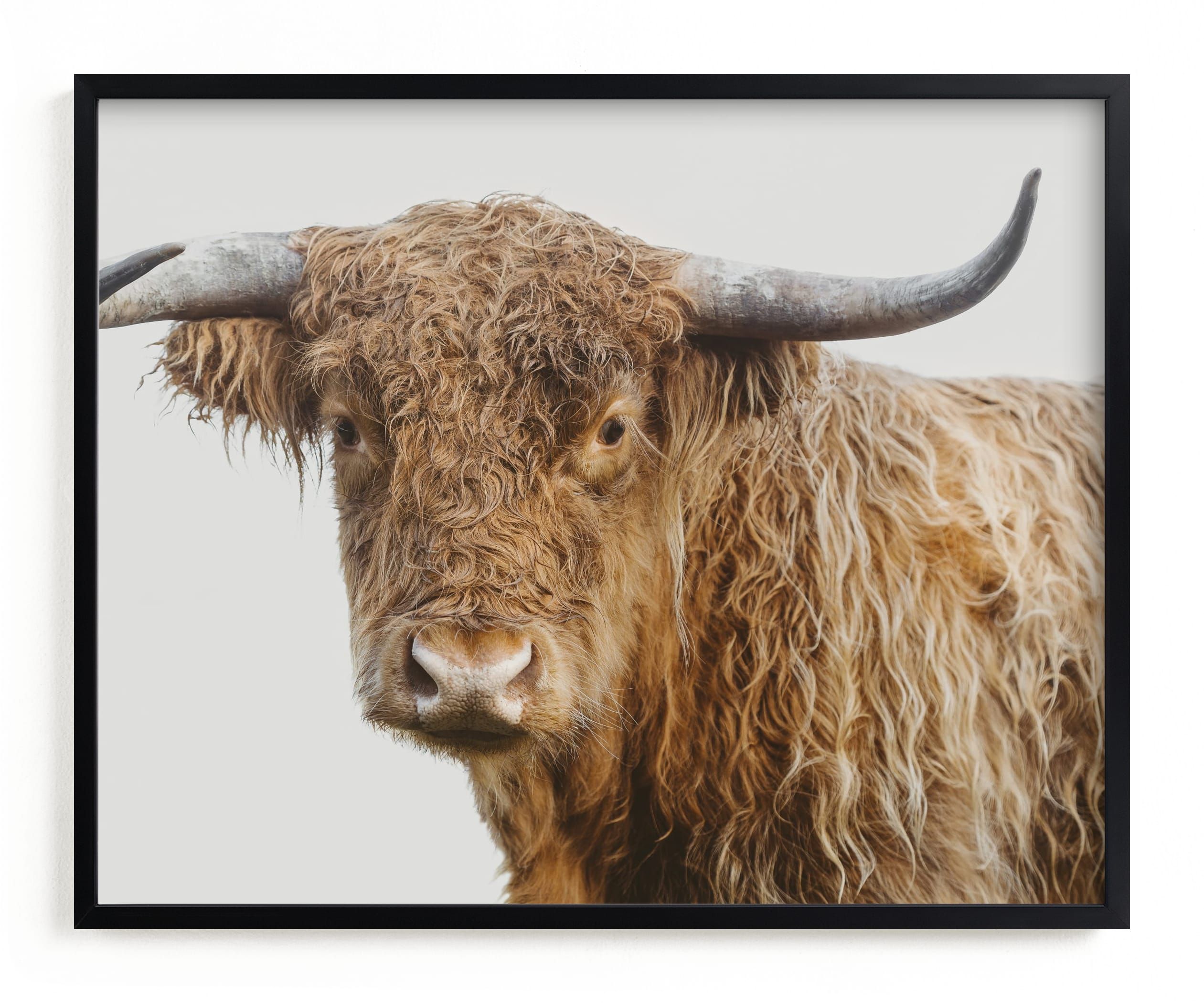 "Carl" - Photography Limited Edition Art Print by Jennifer Morrow. | Minted