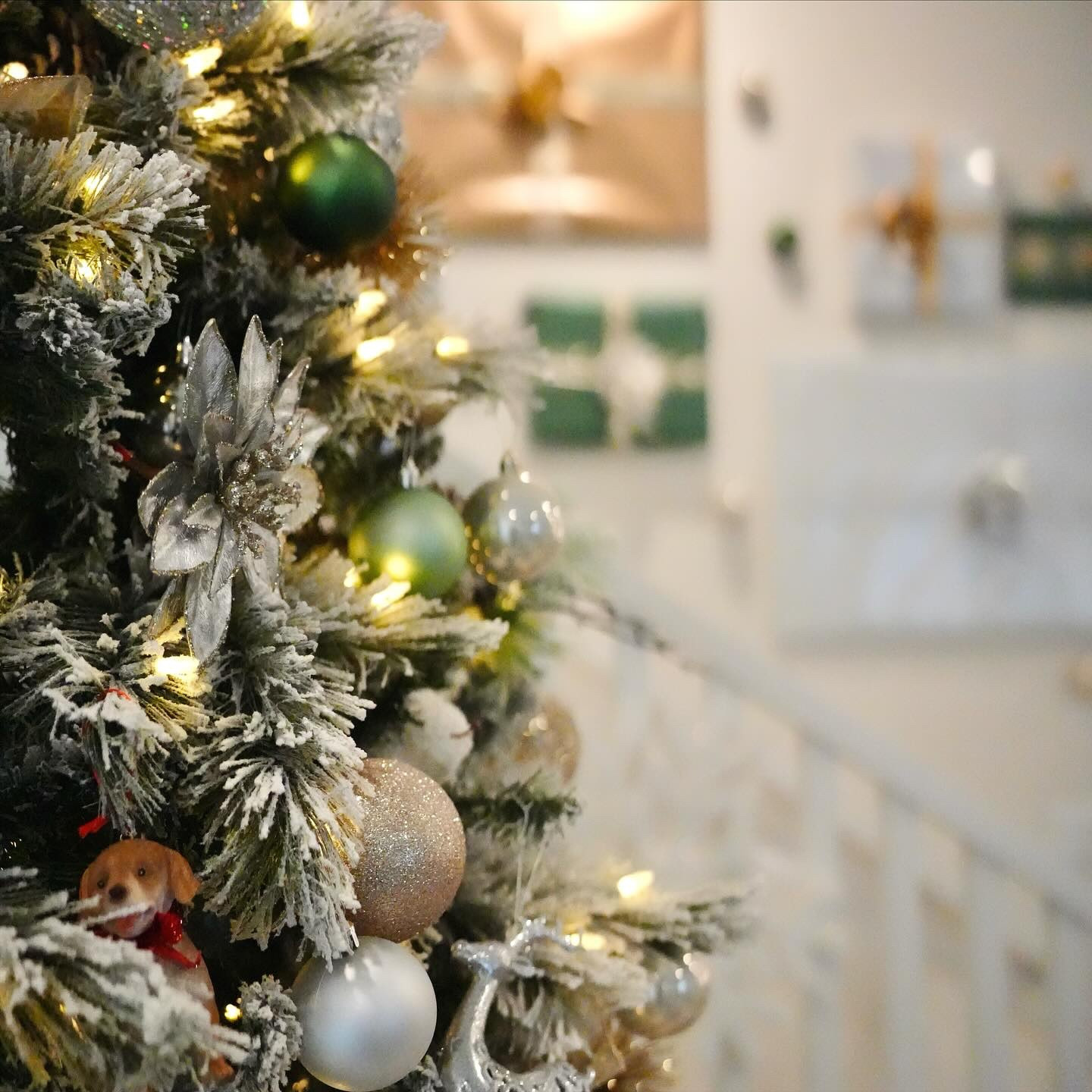 Throwing it back to last year’s Christmas decor ✨
Soft greens, gold and silver shimmer, and a flocked tree that made the whole house feel magical.

And the little Christmas village houses from @michaelsstores ? They were one of my favorite details — warm lights, natural textures, and that charming “tiny town during Christmas” vibe.

But this year, we’re bringing in pops of red. I want my son to grow up with that classic Christmas feeling — red, gold, green, cozy, and nostalgic.

Anyone else decorating early this year? 🎄We love enjoying our Christmas decor for as long as possible, it brings us joy so that’s why we do it! I just can’t bring myself to wait until after Thanksgiving 🤭 🦃 

#ChristmasDecor #HolidayHome #FlockedTree #christmastree