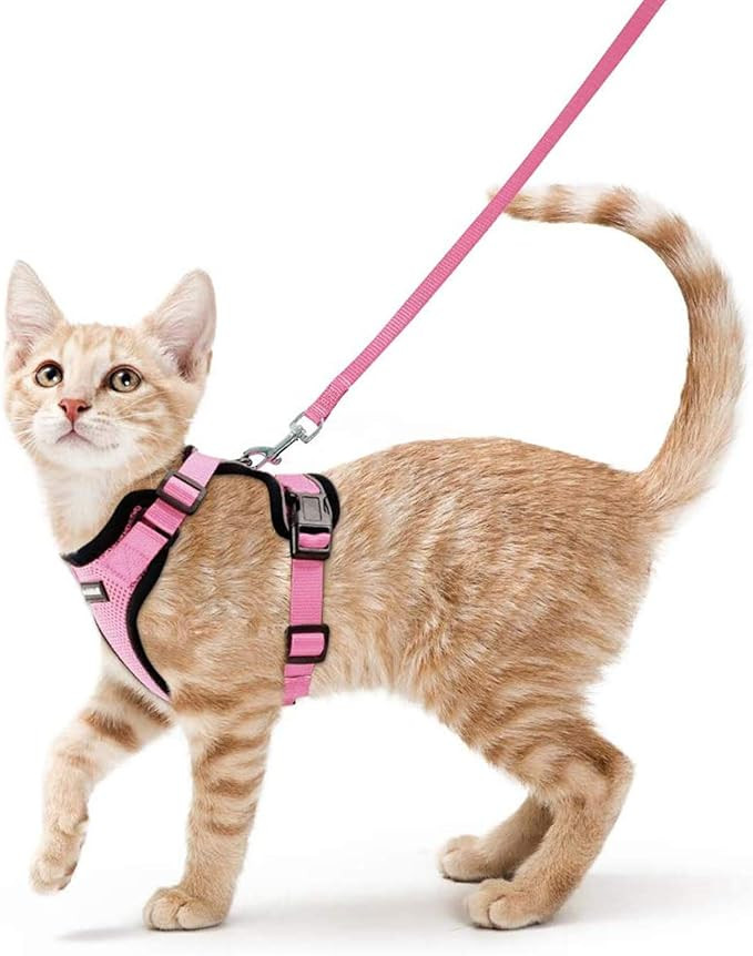 rabbitgoo Cat Harness and Leash for Walking, Escape Proof Soft Adjustable Vest Harnesses for Cats... | Amazon (US)