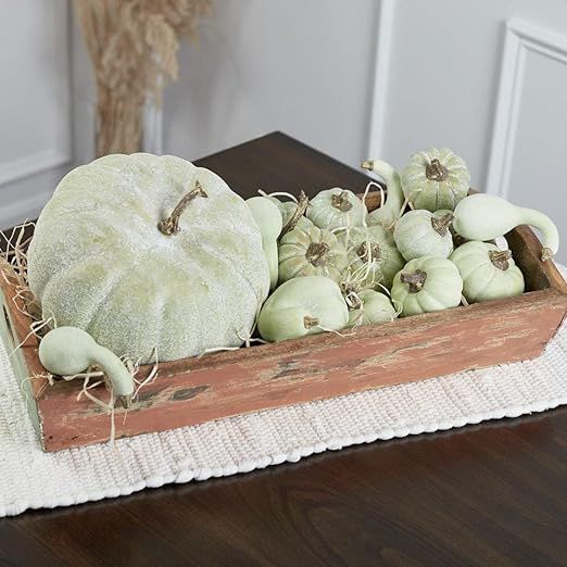 Factory Direct Craft Green Artificial Mixed Pumpkins and Gourds for Fall Decorating and Displays | Amazon (US)