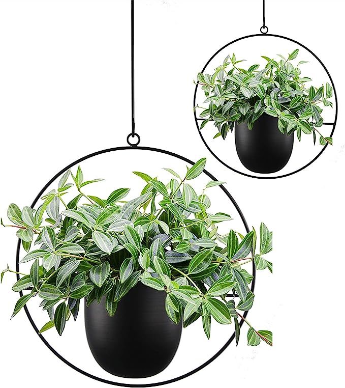 ABETREE 2 Pcs Boho Metal Hanging Planters for Indoor Plants with Hooks Modern Wall and Ceiling Pl... | Amazon (US)