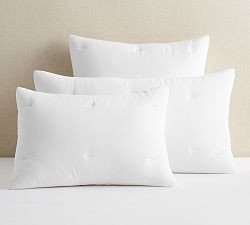 Dream Brushed Cotton Comforter Sham | Pottery Barn (US)