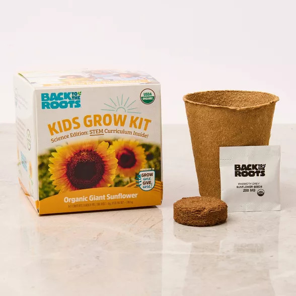 Back to the Roots Kids' Science Grow Kit - Sunflower | Target