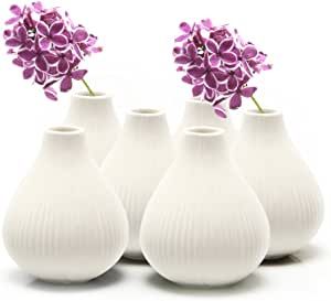 Chive ‘Frost’ Ceramic Flower Vase — Set of 6 Beautiful Small Bud Vases for Flowers & House ... | Amazon (US)