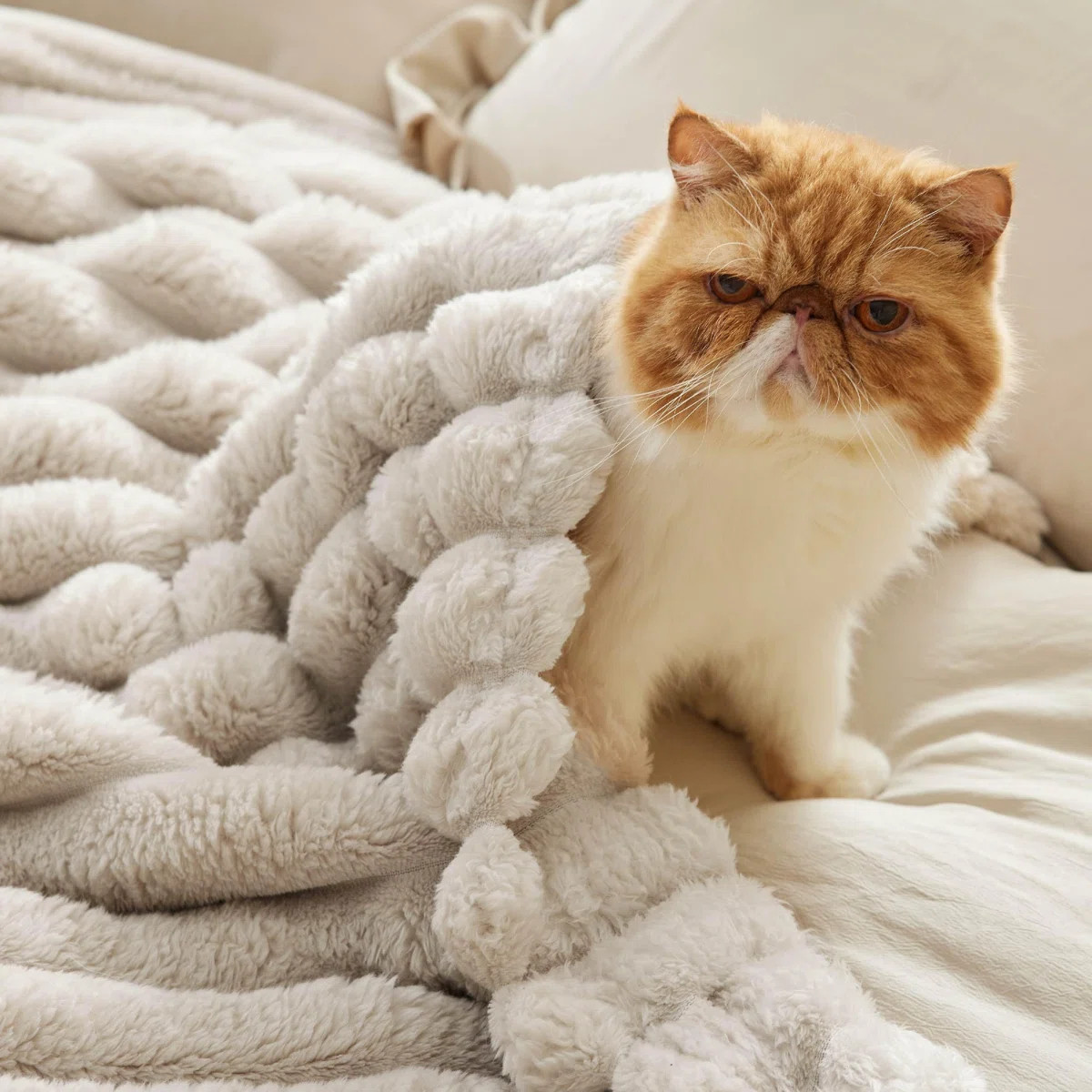 Bedsure 349gsm Blanket For Couch - Super Soft Cozy Blankets, Cute Small Fleece Blanket, Wider Str... | Wayfair North America
