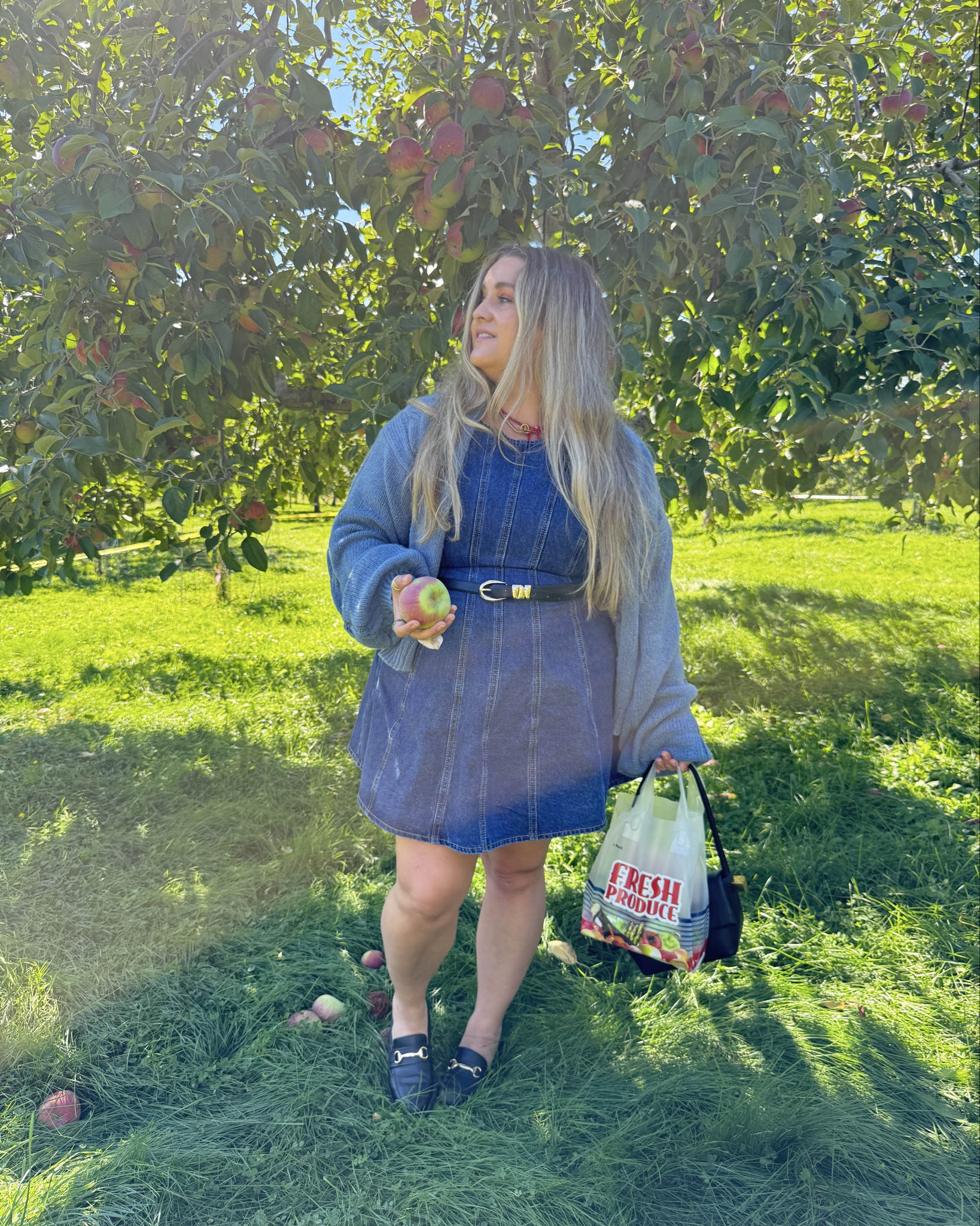 The perfect fall plus-size outfit Jean Dress loafers cardigan all affordable size 16 XL

#LTKPlusSize #LTKFindsUnder50 #LTKSeasonal