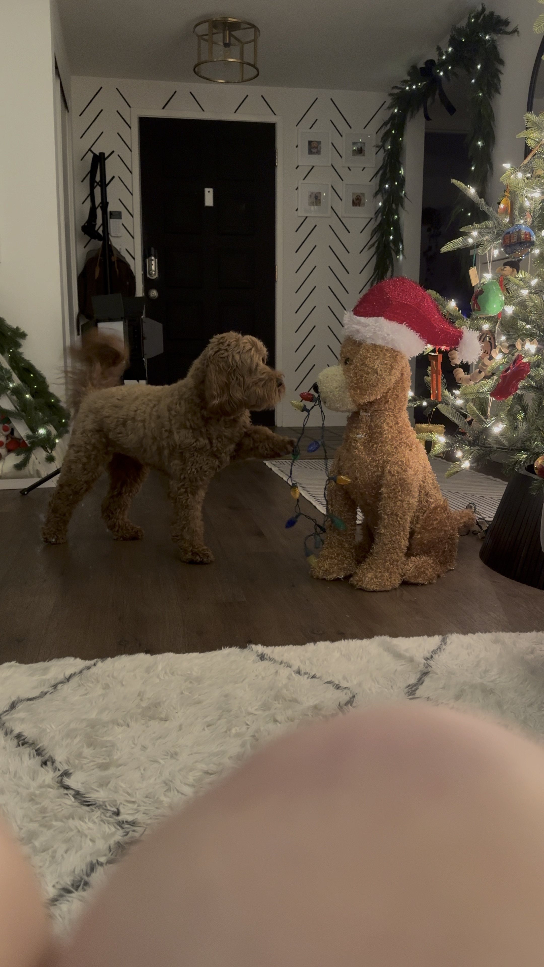 Christmas doodle doppelgänger 

#LTKHolidaySale #LTKSeasonal #LTKHoliday