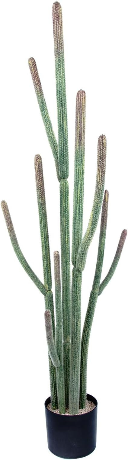 Tall UV Resistant Faux Cactus Plant，60in Realistic Texture Tall Fake Plant, Artificial Cactus L... | Amazon (US)