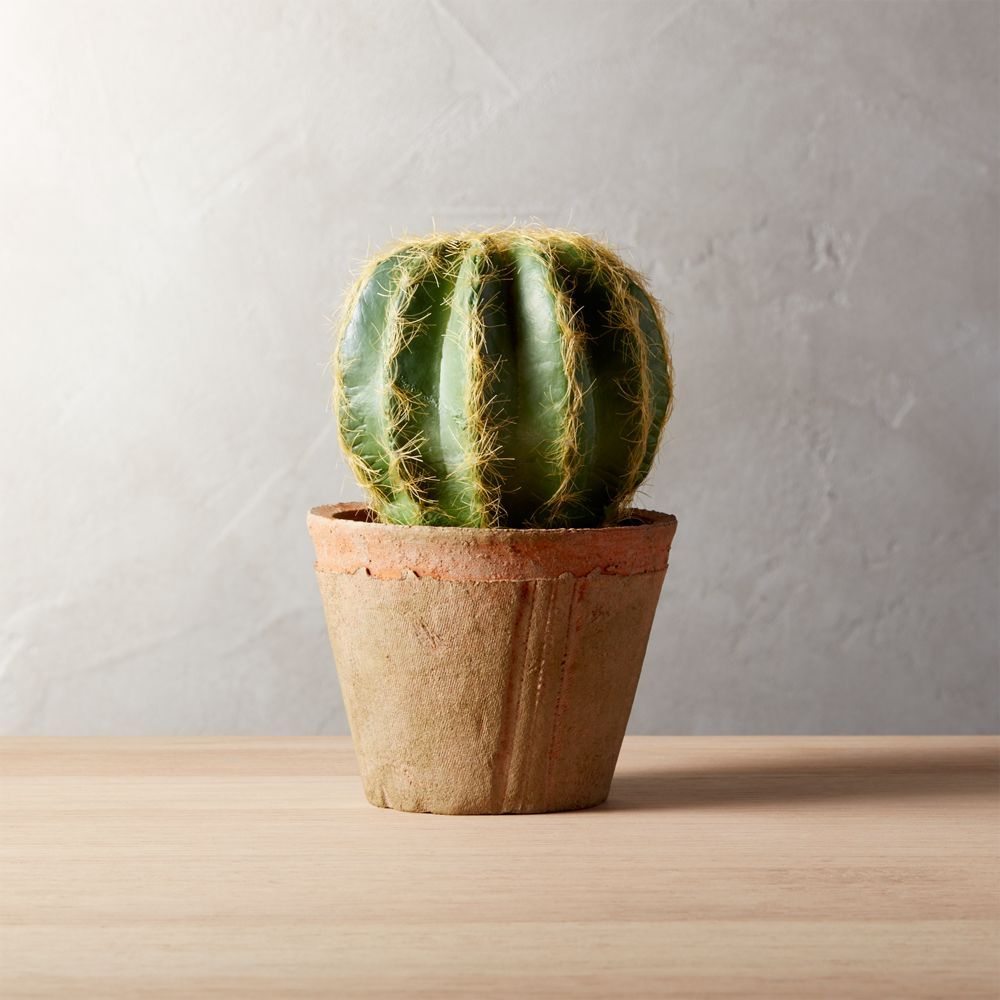 potted 6" cactus | CB2