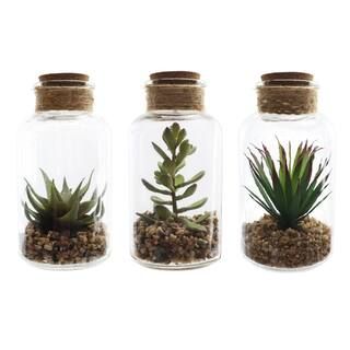Assorted 8" Succulent in Jar by Ashland® | Michaels Stores