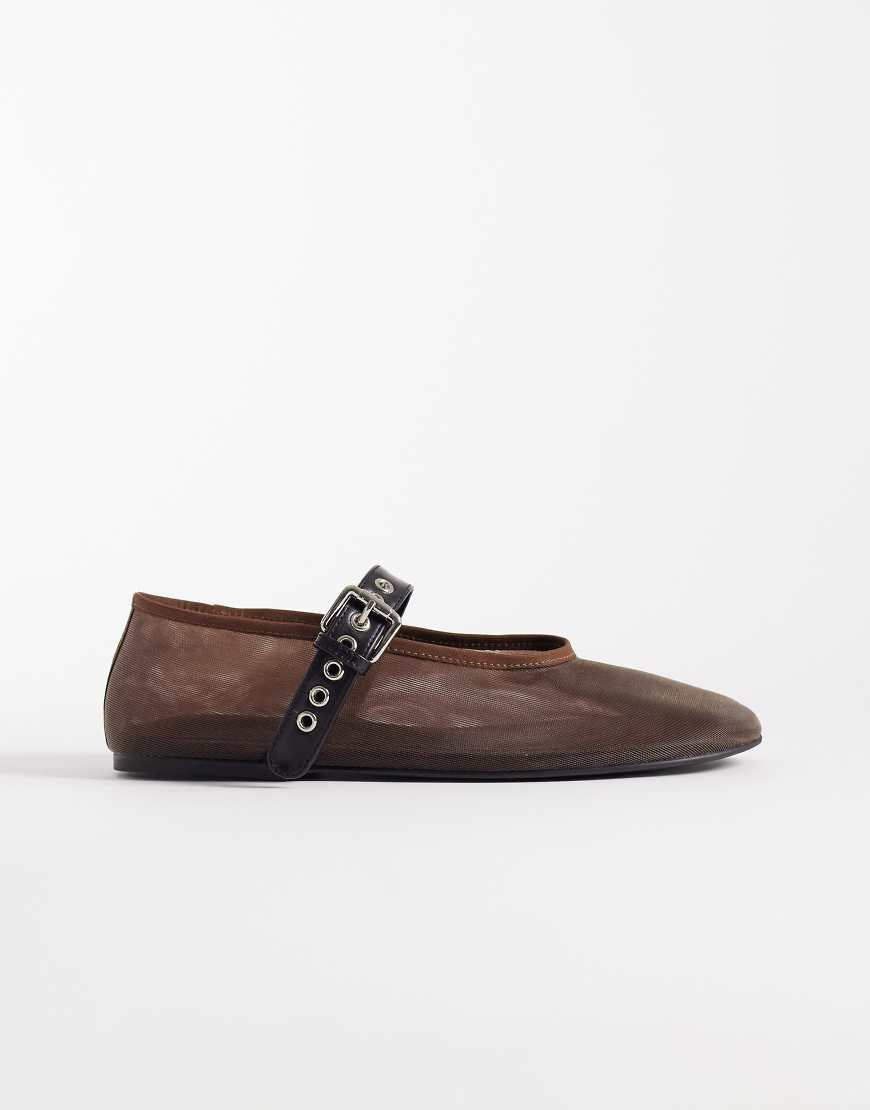 Tony Bianco Mimzy mesh ballet flats with buckle strap in brown | ASOS (Global)