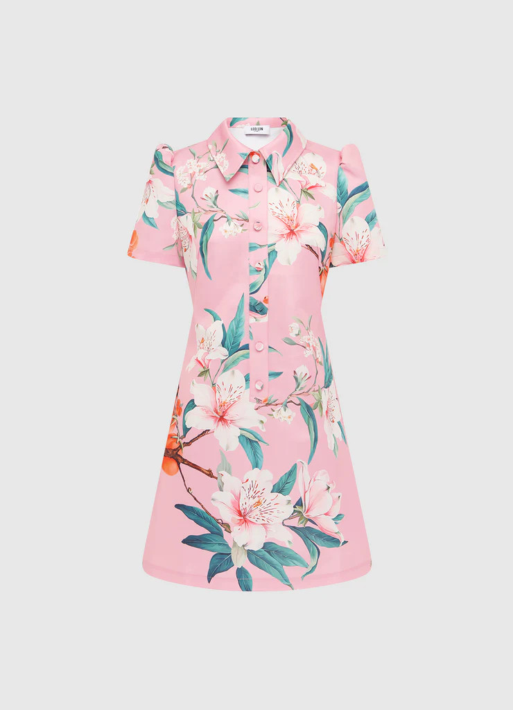 Brooke Mini Dress - Lavish Print in Pink | LEO LIN
