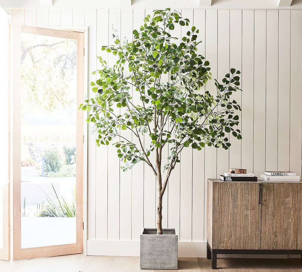 Faux Shady Lady Olive Tree in Mission Square Planter | Pottery Barn (US)