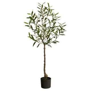 4ft. Potted Olive Tree | Michaels Stores
