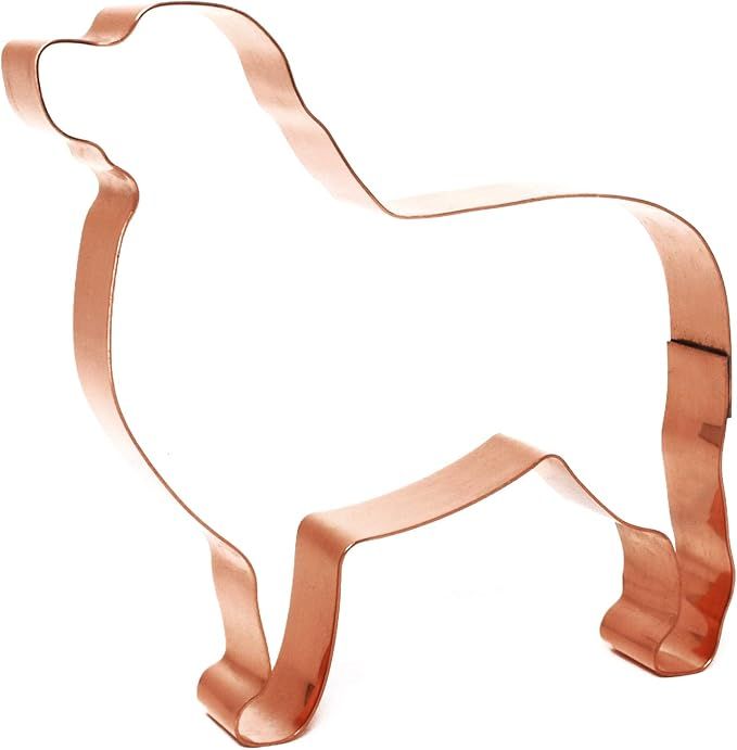 Brand: The Fussy Pup | Amazon (US)