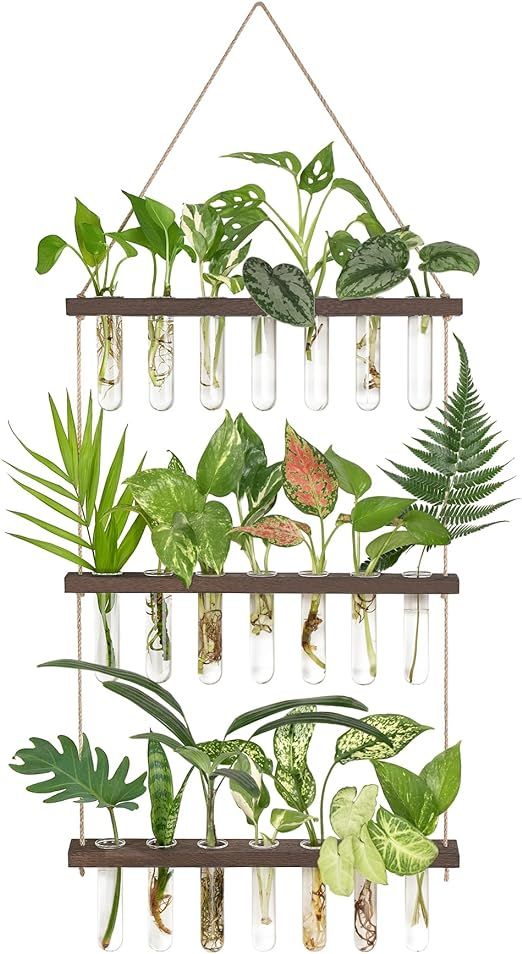 Mkono Plant Propagation Tubes, 3 Tiered Wall Hanging Plant Terrarium with Wooden Stand 21 Test Tu... | Amazon (US)
