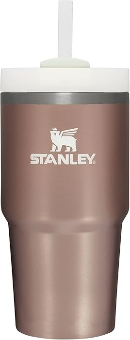 STANLEY Quencher H2.0 Tumbler with Straw 20 oz | Flowstate 3-Position Lid | Cup Holder Compatible... | Amazon (US)