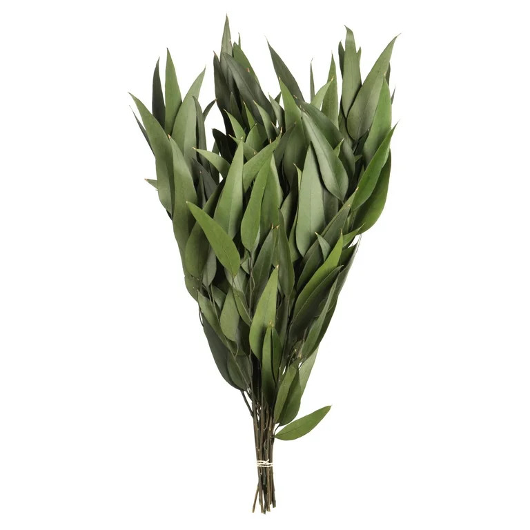 Vickerman 18" Green Weeping Willow Eucalyptus Foliage, 5 oz Bundle, Preserved | Walmart (US)