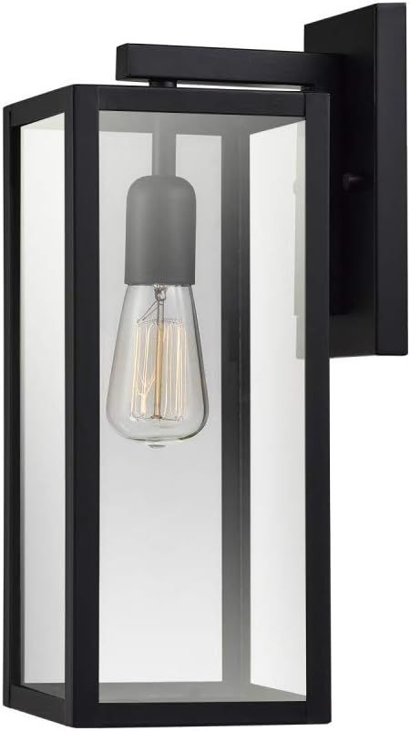 Bowery 1-Light Outdoor Indoor Wall Sconce, Matte Black, Clear Glass Shade,44176 | Amazon (US)