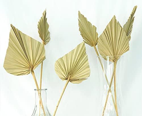 Boho City Blooms Dried Palm Spears | 5 pcs 14-18 in Premium Natural Dried Palm Fans | Boho Decor ... | Amazon (US)