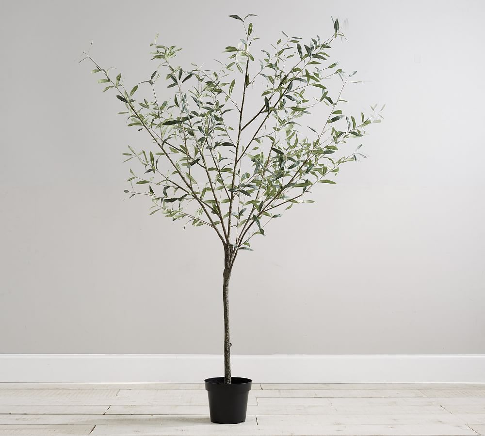 Faux Potted Olive Trees | Pottery Barn (US)