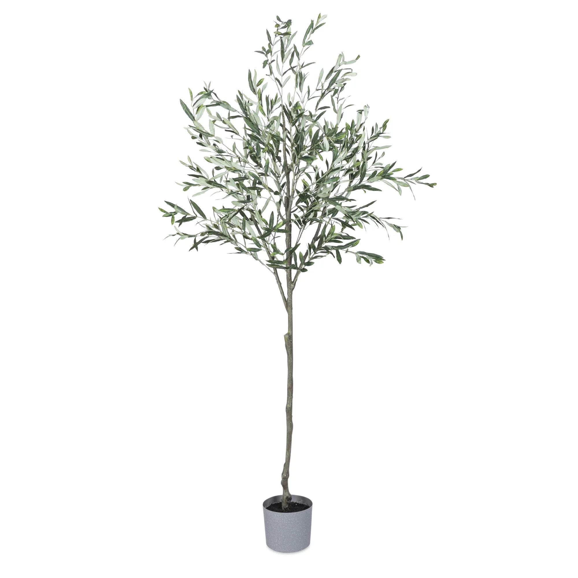 Gerson 7 ft High Olive Tree with Plastic Pot | Walmart (US)