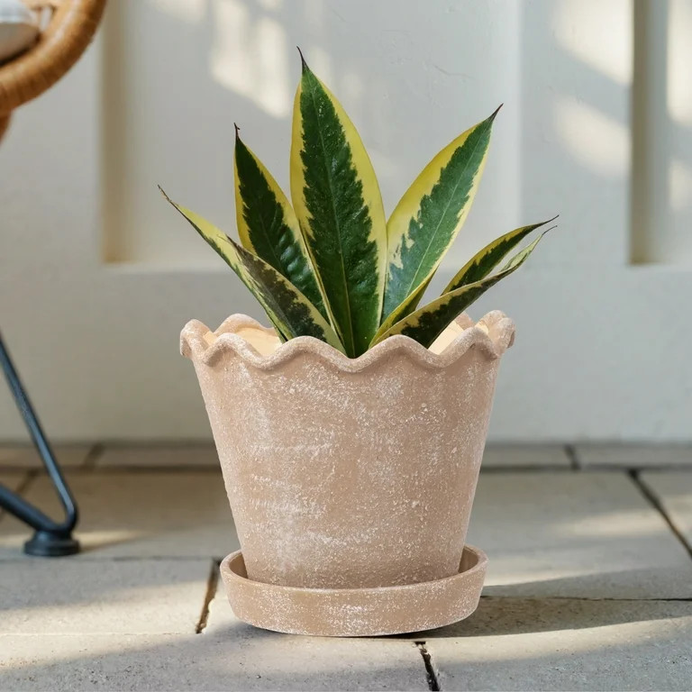 My Texas House 8 inch Ceramic Wave Planter, Brown | Walmart (US)