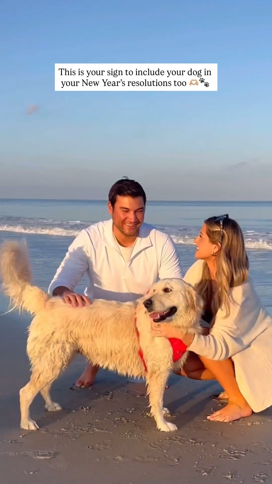 #ad Every year with Ellie is a good one, so this year we’re starting with fresh food! 🐾 🤍@thefarmersdog Fresh food plans are clinically shown to support healthy aging and help dogs maintain a healthy weight! You can get 50% off your first box below! #thefarmersdog #TFDPartner 