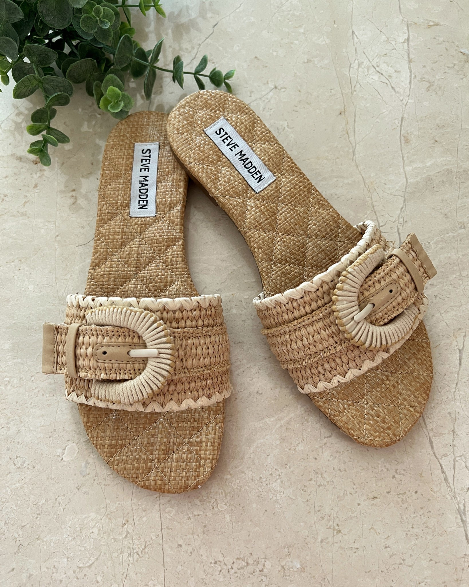 My STEVE MADDEN Raffia Slide Sandals are the perfect neutral slide for Summer 🌸

Steve Madden Merla sandal
Raffia sandals 


#LTKSeasonal #LTKShoeCrush #LTKStyleTip