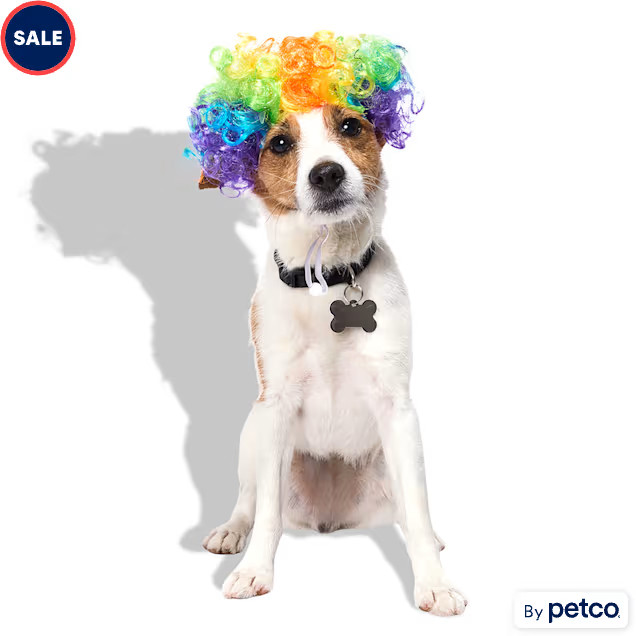 Bootique Rainbow Clown Wig Pet Costume Headpiece, Large/X-Large | Petco