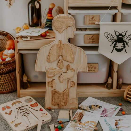 Q Toys Anatomy Puzzle | The Tot