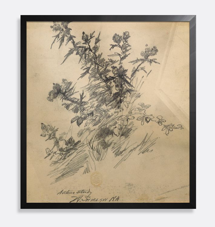 Nature Study Sketch by Walter Shirlaw Framed Reproduction Wall Art Print | Rejuvenation