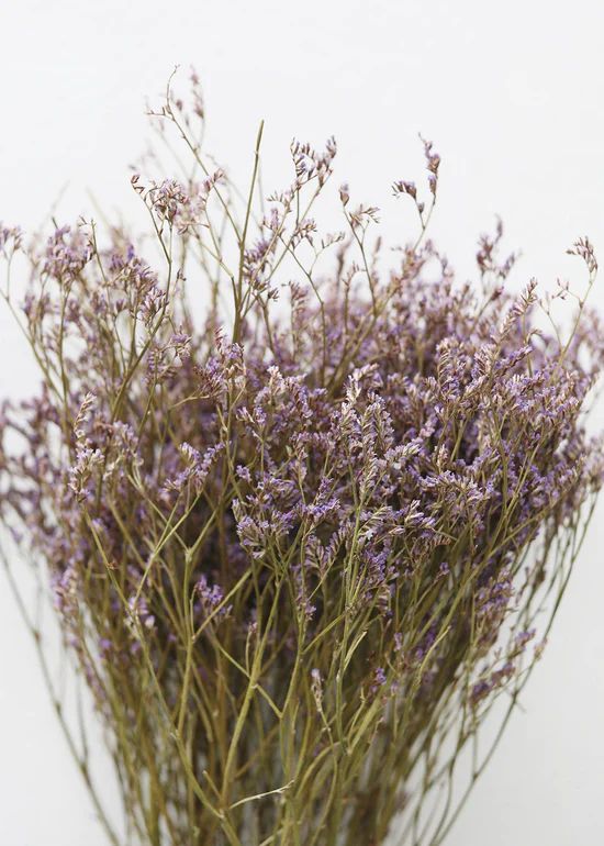 Natural Dried Purple Statice Flowers - 18-24 | Afloral