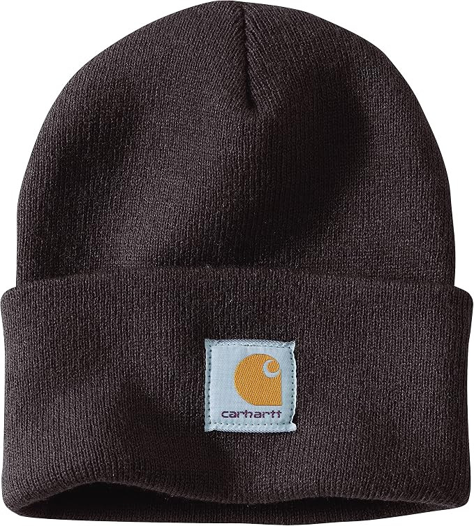 Carhartt Men's Acrylic Watch Hat A18 | Amazon (US)